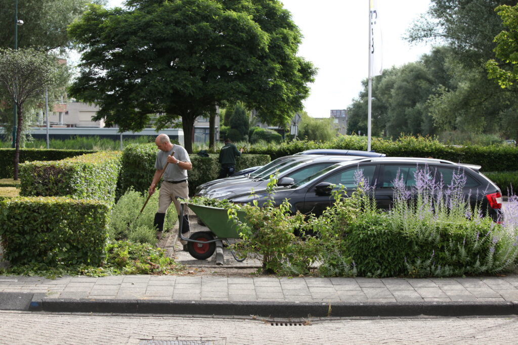 Tuinonderhoud in een stad